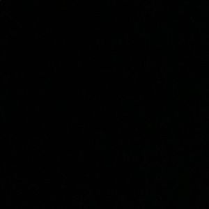 Meet your Posher, Eva